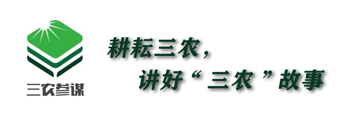 家里有以前的大缸，想在里面种藕。应该怎么种？需要注意什么呢？