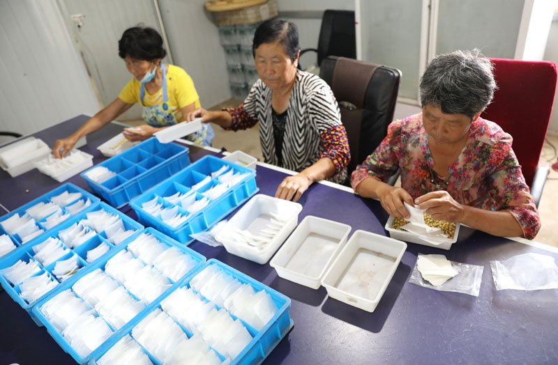 节 养殖技术_养殖的五大环节_养殖技术讲解