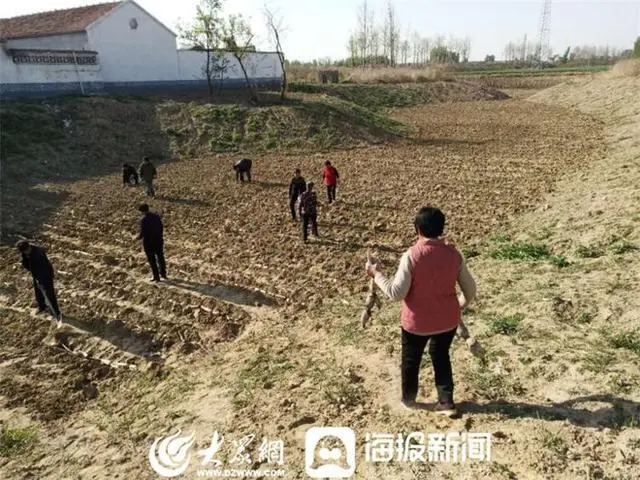 致富下乡种植项目简介_致富下乡种植项目有哪些_下乡种植致富项目