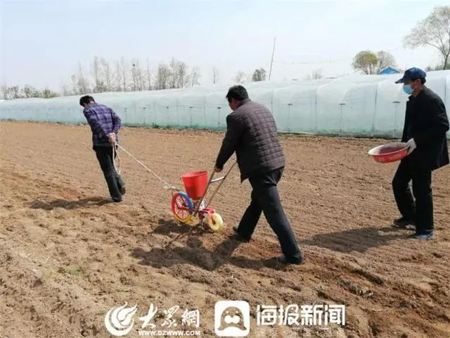 致富下乡种植项目有哪些_致富下乡种植项目简介_下乡种植致富项目