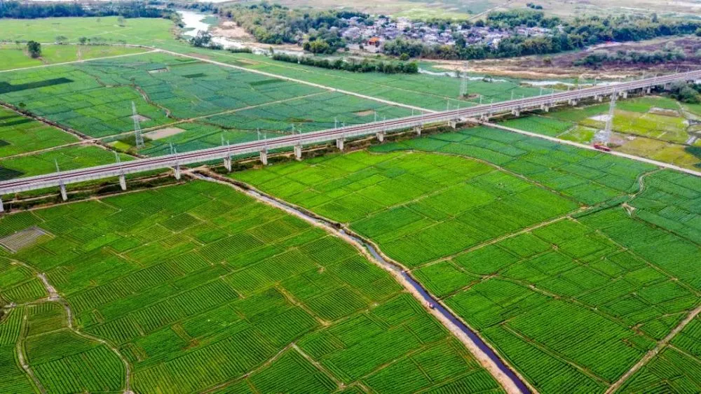 血糖高可以吃红署吗_圆珠笔加工代理致富_致富经加工红署