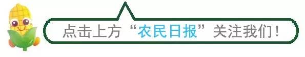 【致富】农业什么最赚钱 今年哪些特种养殖项目被看好