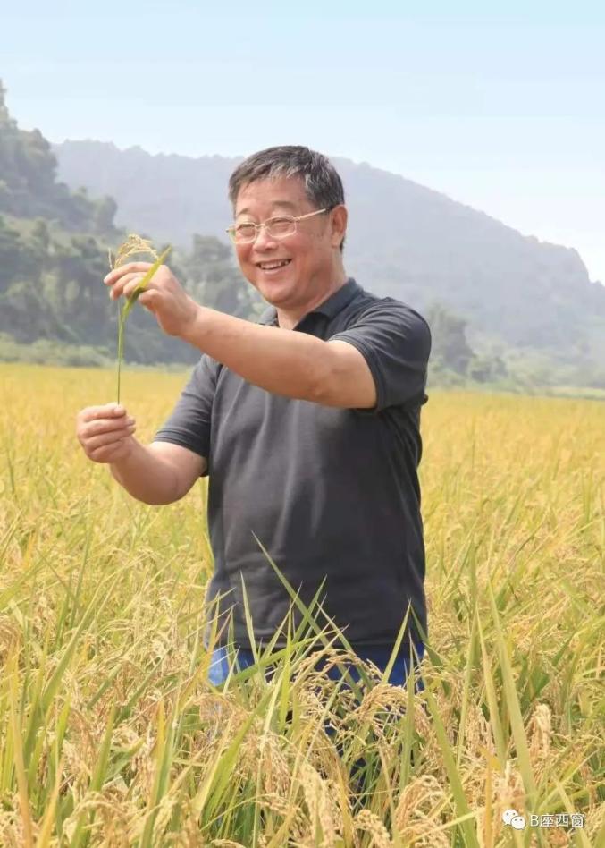 致富经草莓种植技术_草莓  致富经_草莓致富新科技