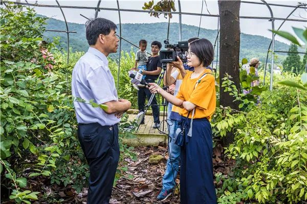 致富新闻网_农视网致富经种植水果_致富果种植新闻