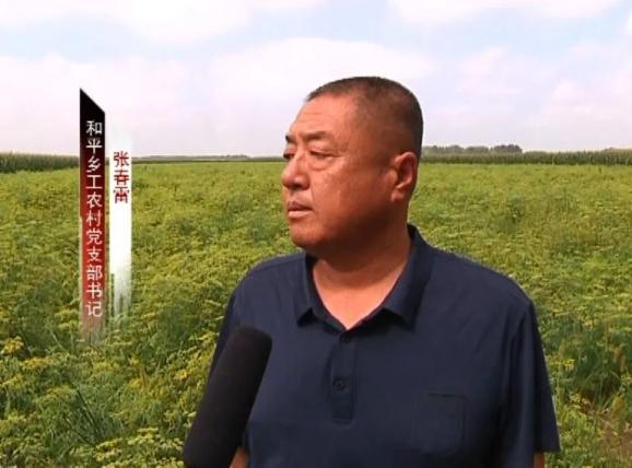 芦荟种植赚钱吗_致富芦荟种植农村可以种吗_农村种植芦荟致富