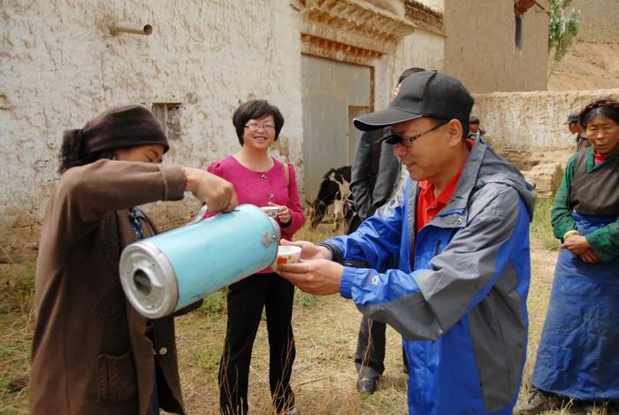 “黄牛改良”帮助西藏农牧民走上致富路