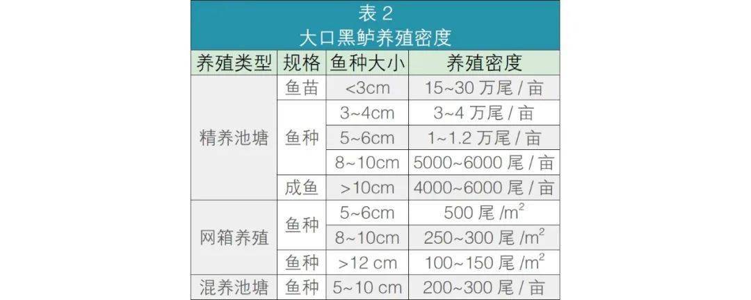 鲤鱼养殖自然技术有哪些_鲤鱼养殖技术视频_自然养殖鲤鱼技术.