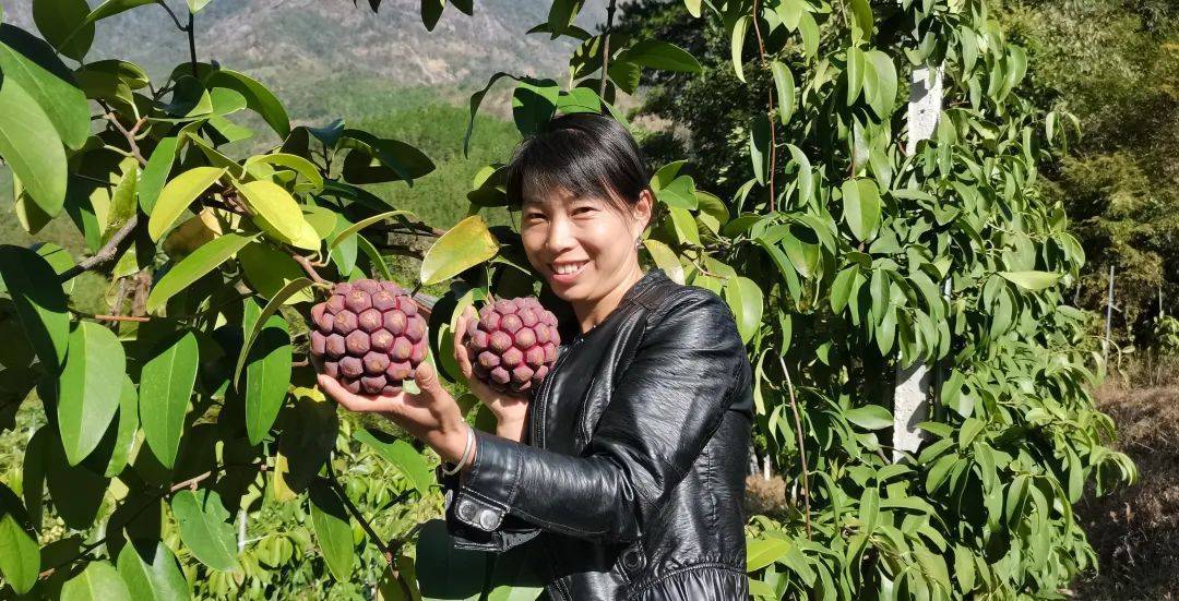 种植野果致富_种植野果前景如何_致富种植野果视频