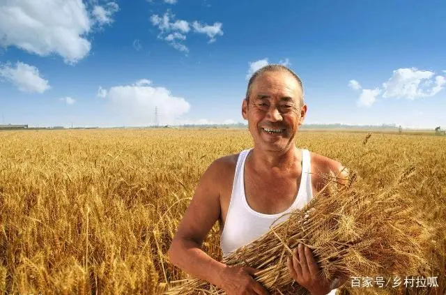 电视上的致富节目，养啥赚啥，农民一干就赔钱，这节目还能相信吗