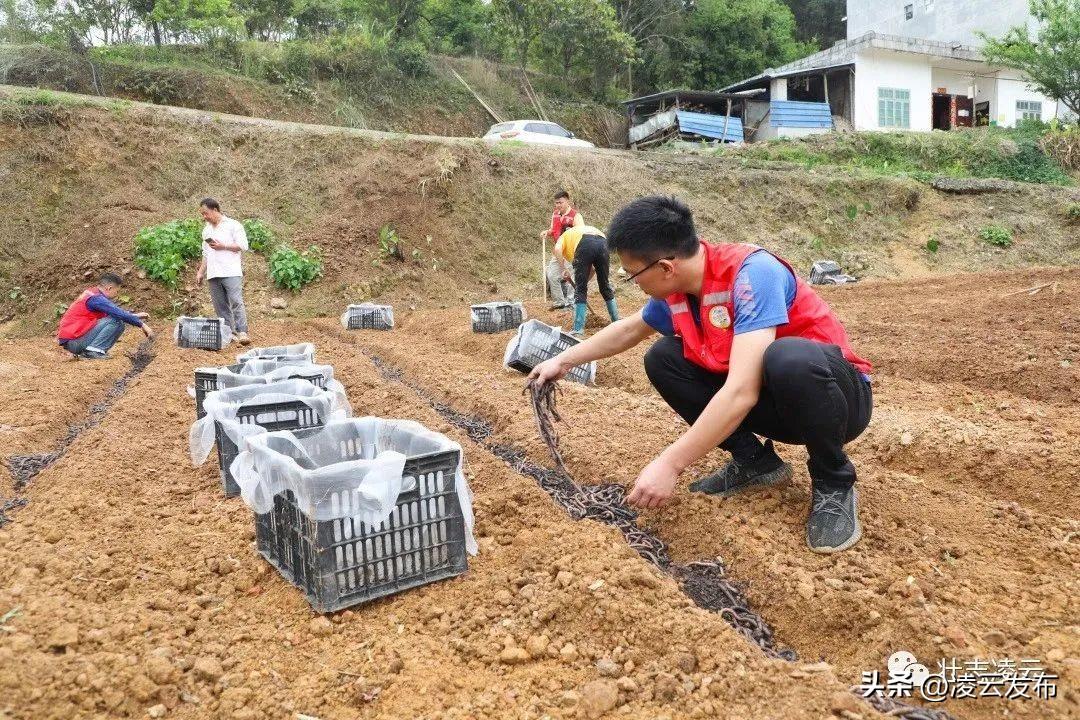 蚯蚓致富真实案例_致富经蚯蚓养殖技术_蚯蚓 致富经