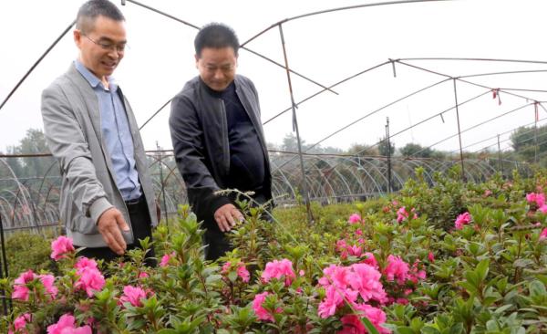 致富花草种植人员名单_种花致富经_种植花草致富的人