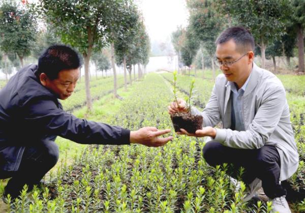 种植花草致富的人_致富花草种植人员名单_种花致富经