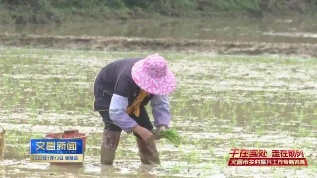 公坡镇水北村抢抓农时为农民播下“致富种” 创新种植模式促增收