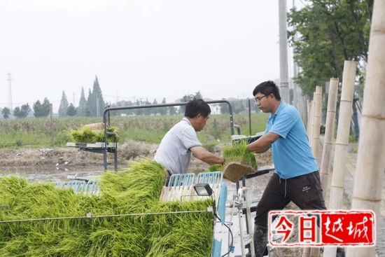 新时代种植致富_新致富项目种植_致富经种植业