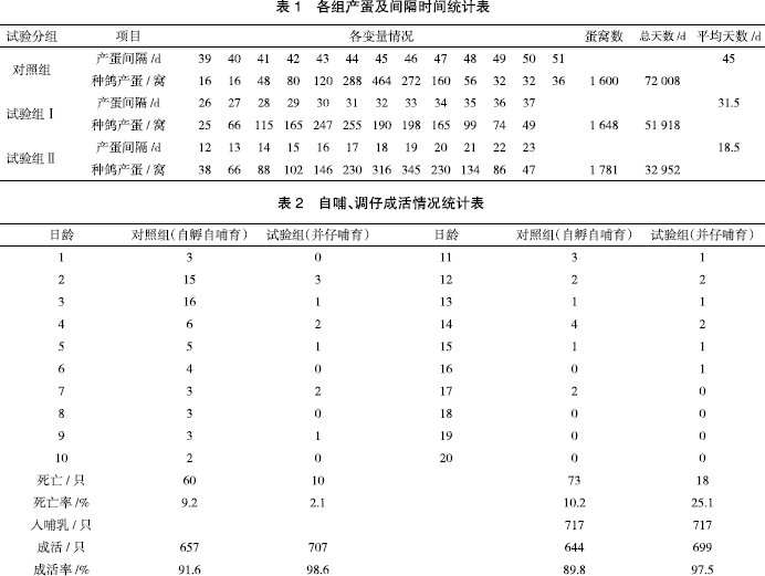 斑鸠斑鸠养殖技术_斑鸠养殖技术视频教程_斑鸠养殖技术视频播放