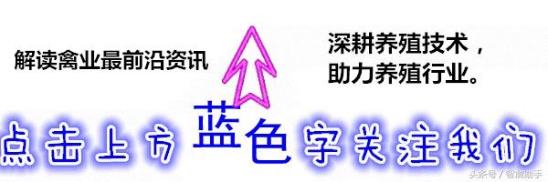 螃蟹养殖技术大全