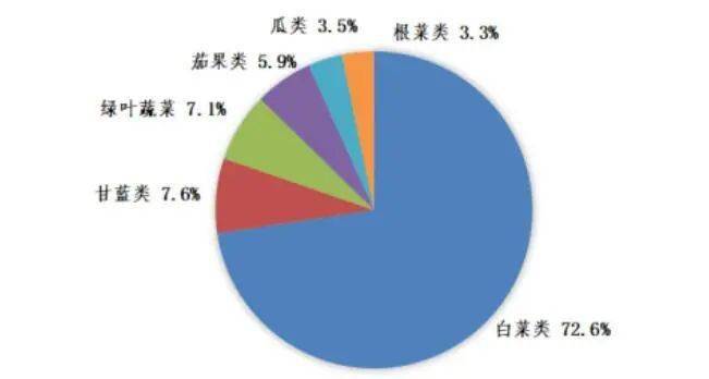 种植菜菜心技术要点_怎样种植菜心有什么奥秘_菜心菜怎样种植技术