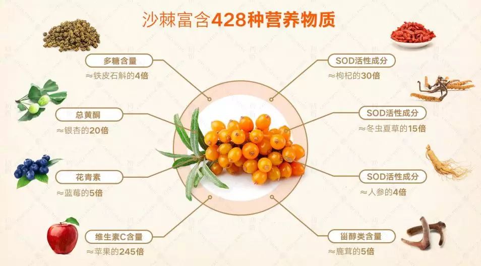 致富经种沙棘视频_沙棘种植视频_关于种植沙棘要求的视频报道