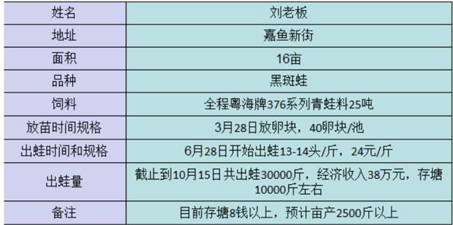 养殖食用青蛙致富_养殖食用青蛙致富_养殖食用青蛙致富