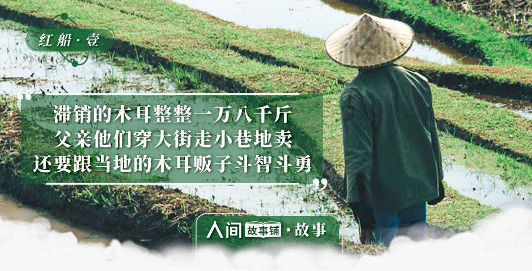 木耳种植效益_致富经种木耳_木耳种植的经济效益