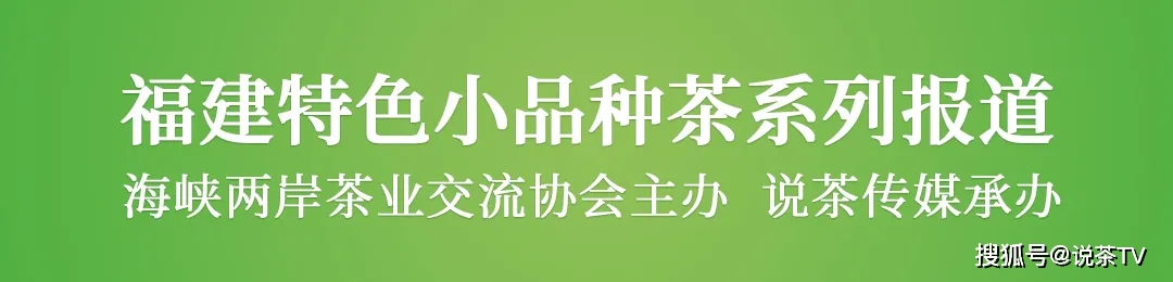 三明尤溪红：沁人茶香，一抹醉人丨福建特色小品种茶优秀征文