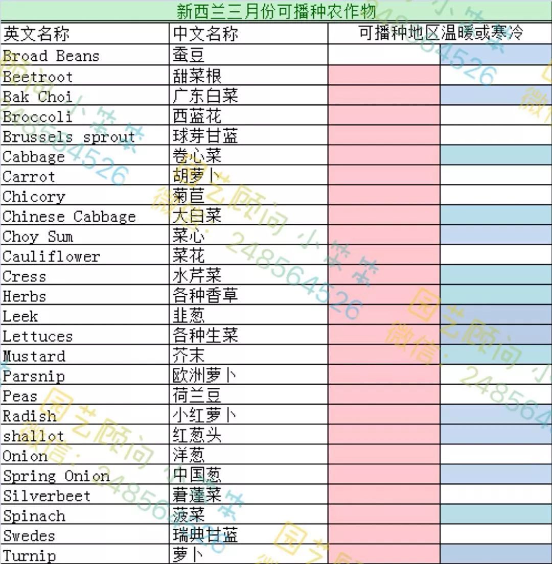 树草莓种植技术视频_种植草莓技术教程_视频种植树草莓技术教程