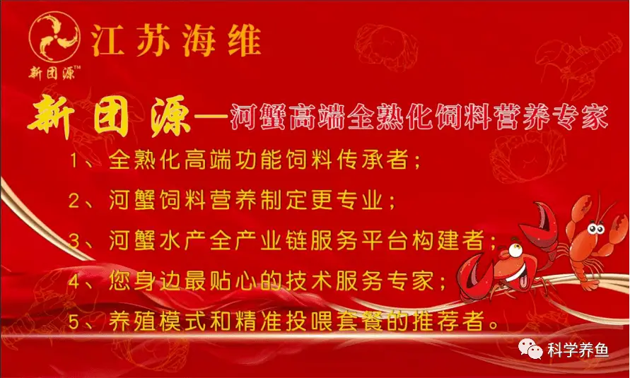 螃蟹养殖需要什么条件怎么养殖_海螃蟹的养殖技术_螃蟹养殖海水