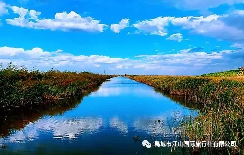 视频种植树草莓技术教程_树草莓种植技术视频_种植草莓的视频教程