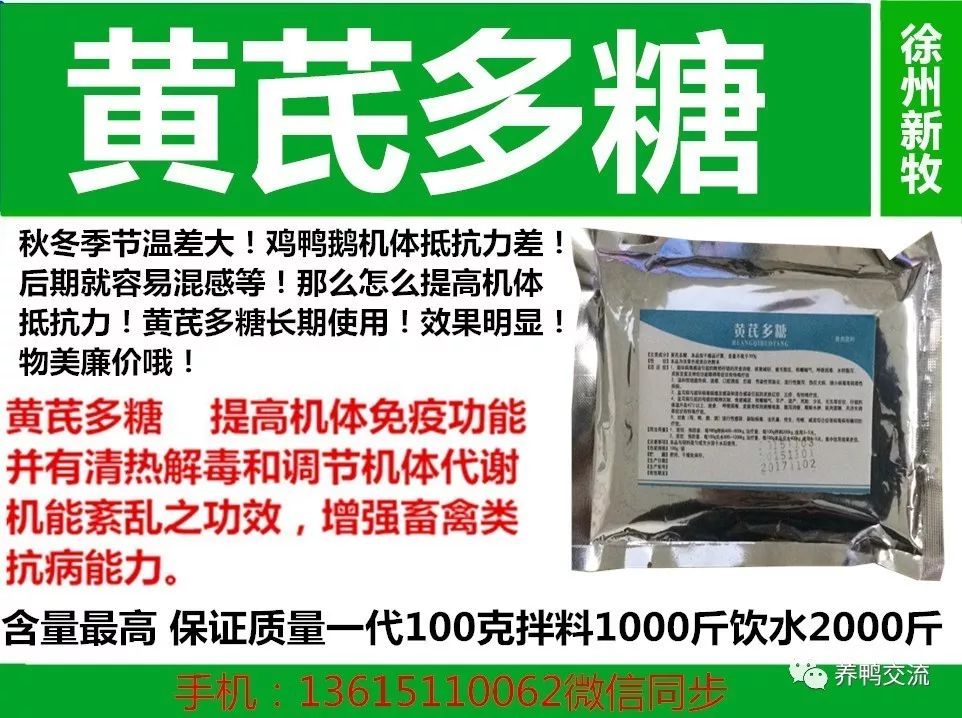 高产蛋鸭养殖技术_蛋鸭养殖前景如何_养殖蛋鸭的技术视频