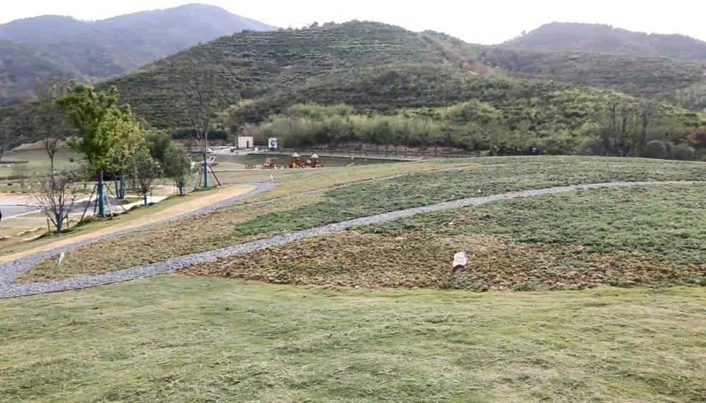 致富乡村旅游论文_致富乡村旅游的意义_致富经乡村旅游