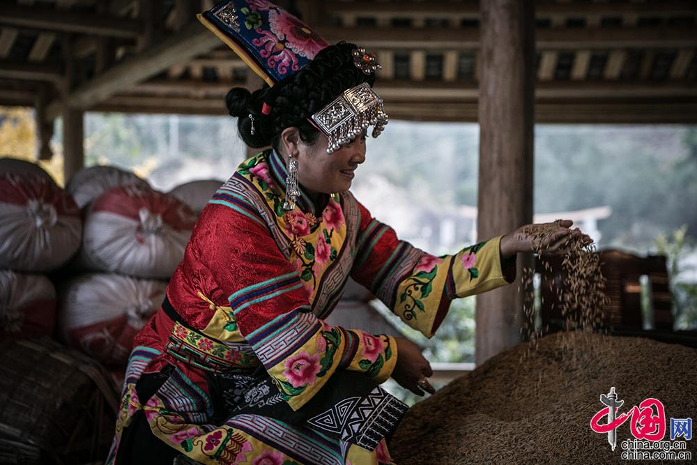 养殖泥鳅富豪_致富经养泥鳅全集_致富经稻田养泥鳅视频