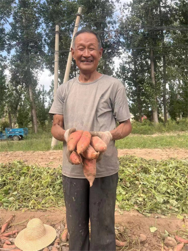 开封种植什么作物_开封农村种植致富_河南开封种植什么有优势