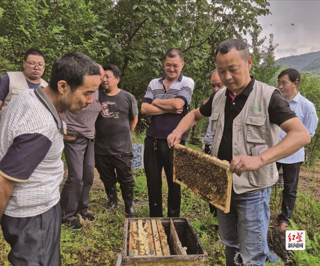 成都哪个地方有养蚯蚓的_四川蚯蚓养殖_成都蚯蚓养殖致富