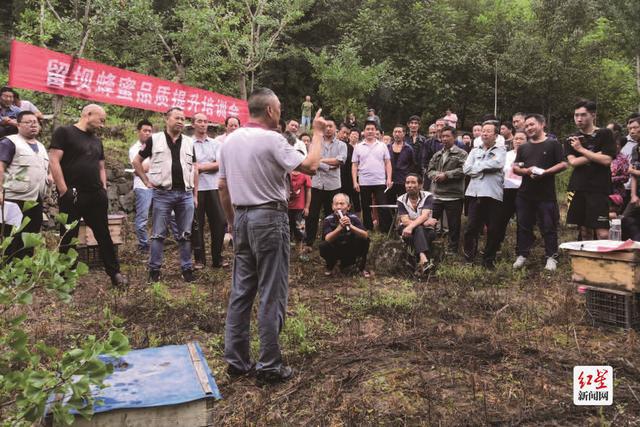 成都哪个地方有养蚯蚓的_成都蚯蚓养殖致富_四川蚯蚓养殖