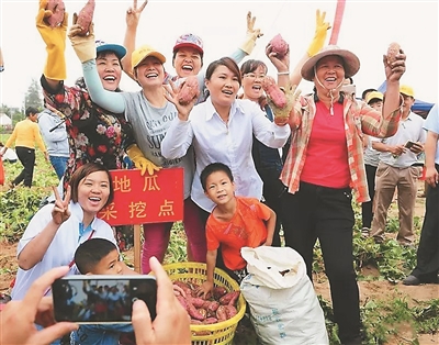 海南澄迈桥头镇沙土村:小地瓜“种”出大产业