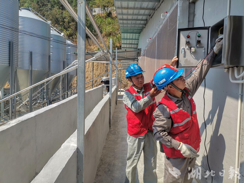 致富养殖海龙项目介绍_海龙养殖致富项目_海龙养殖视频