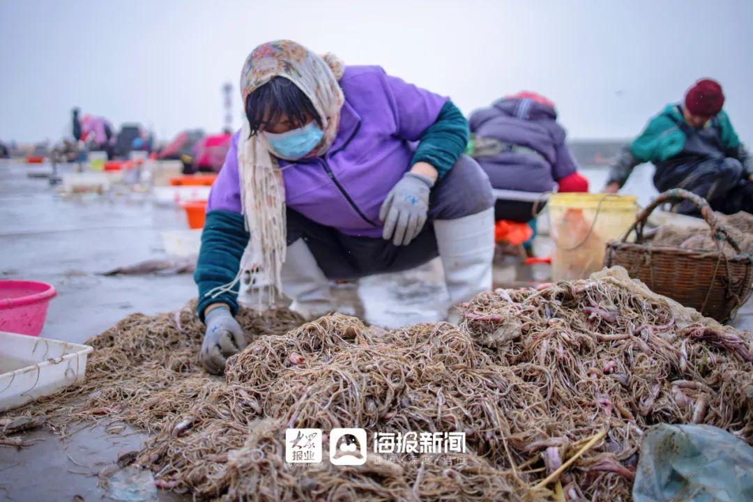 海龙养殖视频_海龙养殖致富项目_致富养殖海龙项目简介