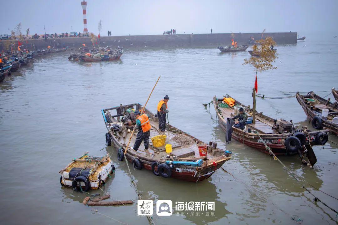 海龙养殖致富项目_海龙养殖视频_致富养殖海龙项目简介