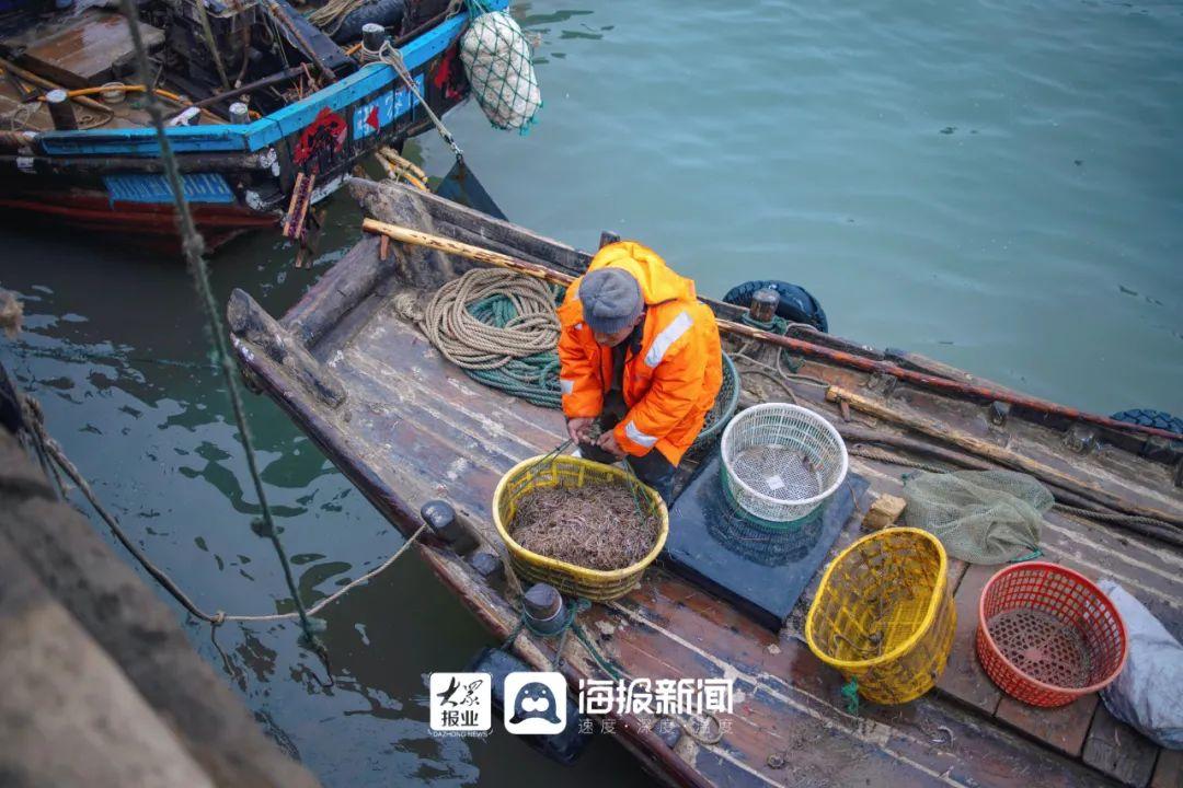 致富养殖海龙项目简介_海龙养殖致富项目_海龙养殖视频