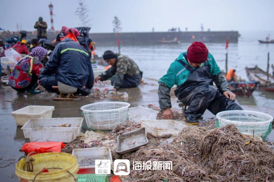 致富养殖海龙项目简介_海龙养殖致富项目_海龙养殖视频