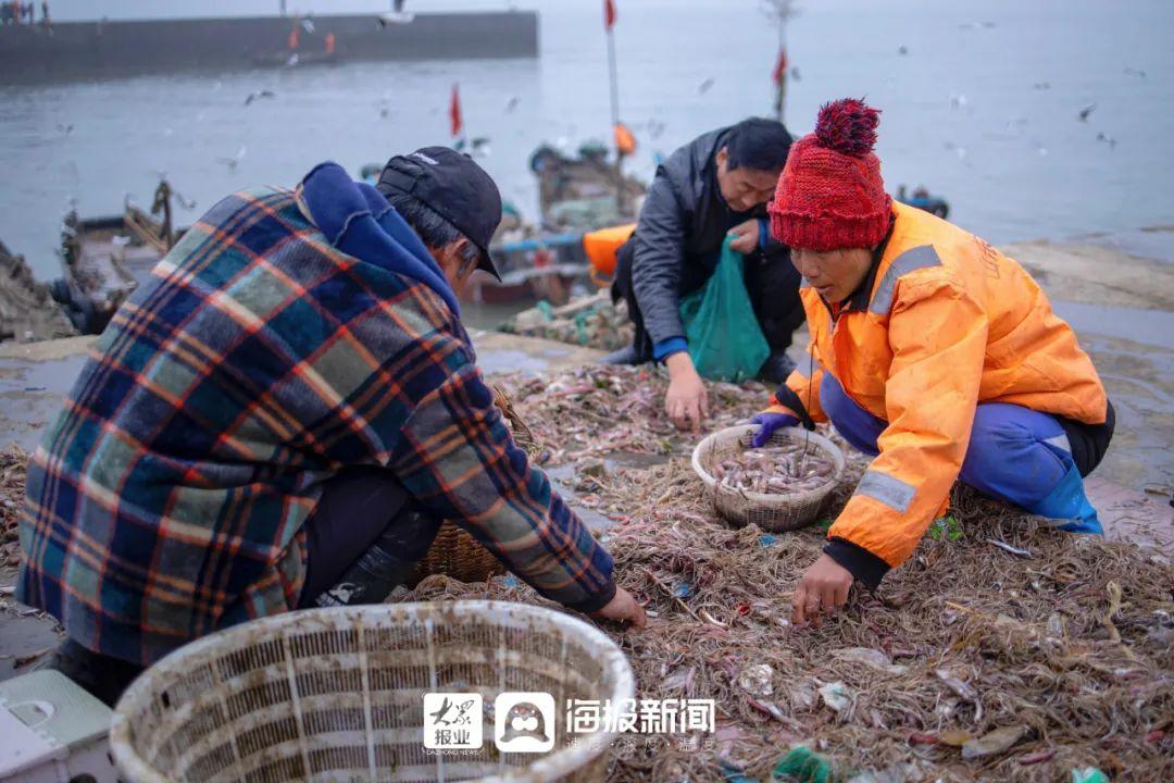 海龙养殖致富项目_海龙养殖视频_致富养殖海龙项目简介