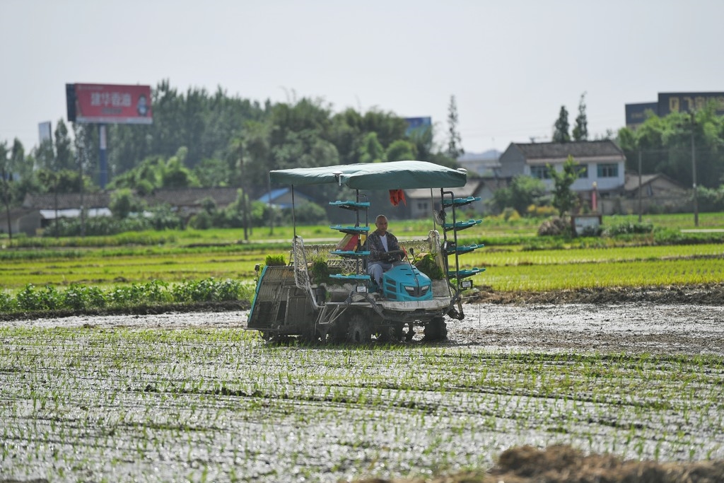 致富经养金鱼的视频_视频致富金鱼养殖_金鱼养殖致富视频