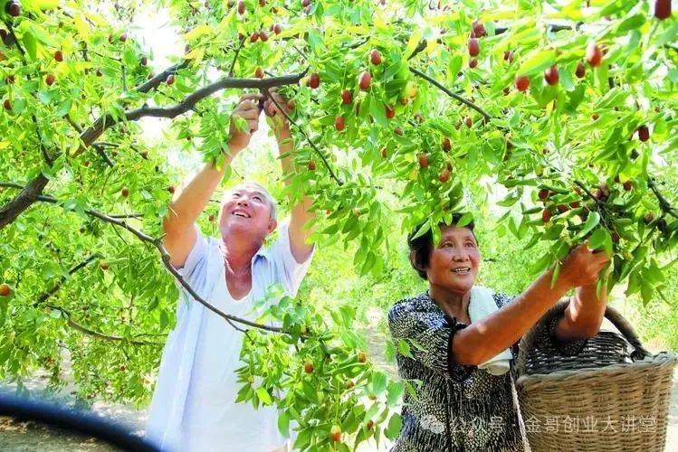 致富种植农资项目简介_农村致富项目种植业_农资种植致富项目