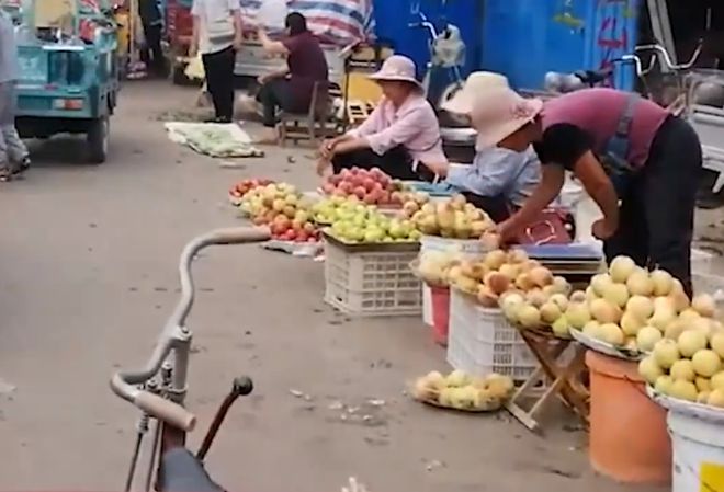 致富故事会不软桃_湖北桃子致富经_湖北90后养殖豪猪致富