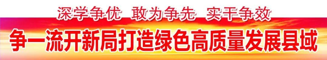 佩服！仙游红木老板植20万株名贵树！一片荒山变成绿森林！