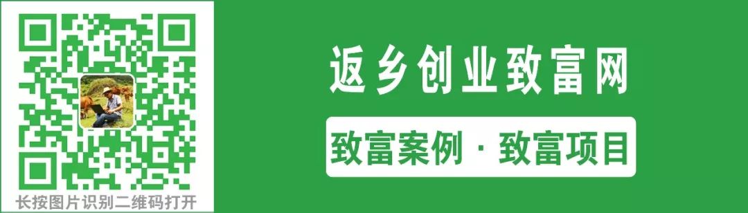 五个家庭种植致富项目了解一下