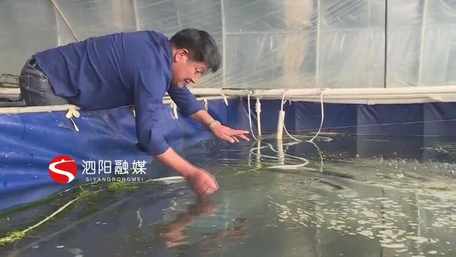 致富经龙虾_致富经龙虾养殖技术视频_农业致富网养殖龙虾