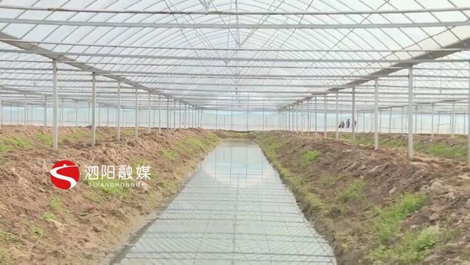 致富经龙虾养殖技术视频_农业致富网养殖龙虾_致富经龙虾