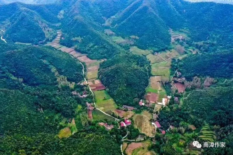 养殖麂子致富_养殖麂子需要什么条件_麂子养殖前景