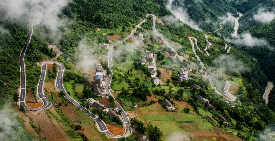 麂子养殖前景_致富养殖麂子视频_养殖麂子致富